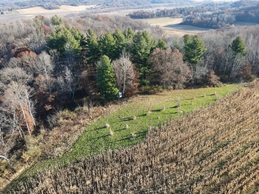 0 COUNTY ROAD D, Ettrick, WI 54627 - Image #3