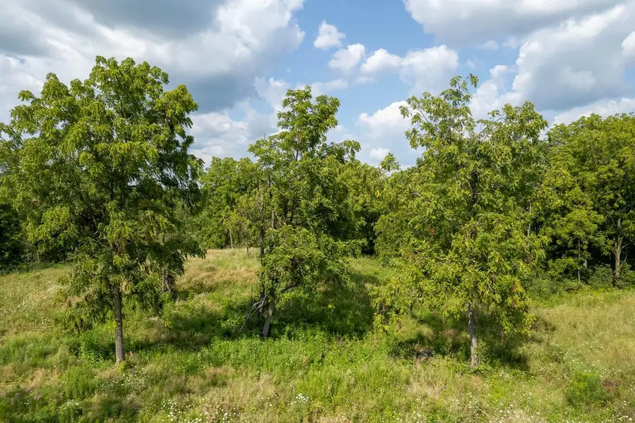 Lt10 LAKEVIEW GLEN DRIVE, Lake Geneva, WI 53147 - Image #3