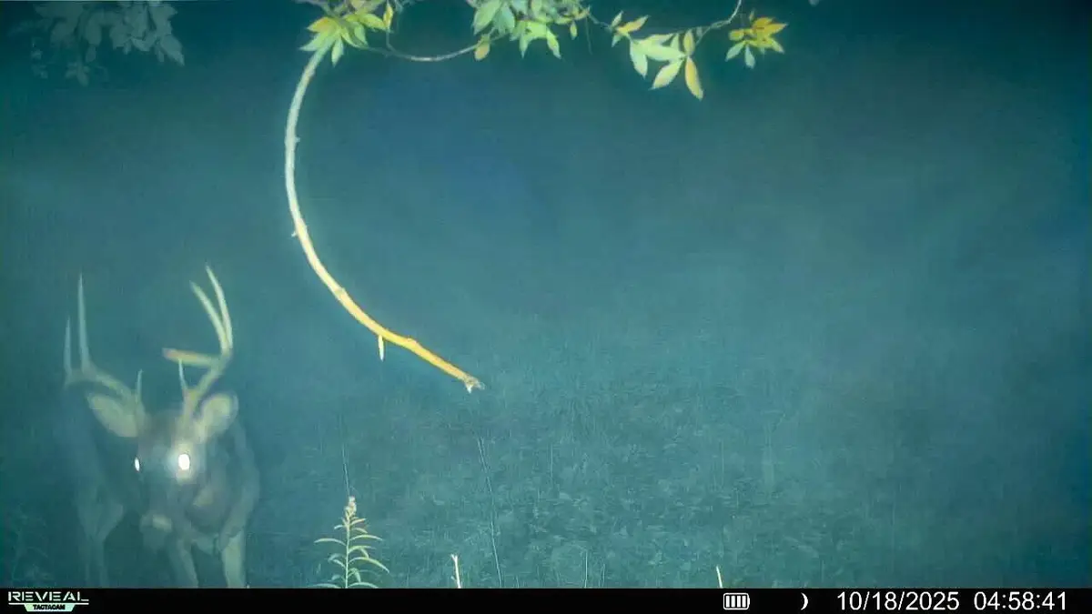 54982 SMITH ROAD, Ferryville, WI 54628 - Image #1