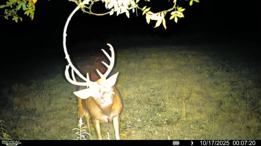 54982 SMITH ROAD, Ferryville, WI 54628 - Image #2