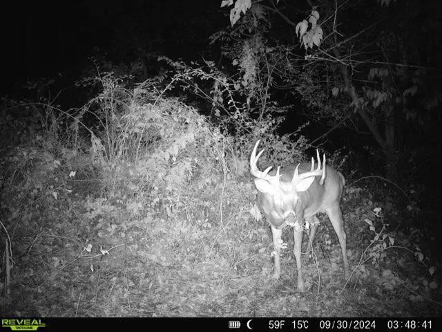 Lot 3 LUCKY LANE, Eastman, WI 54626 - Image #3