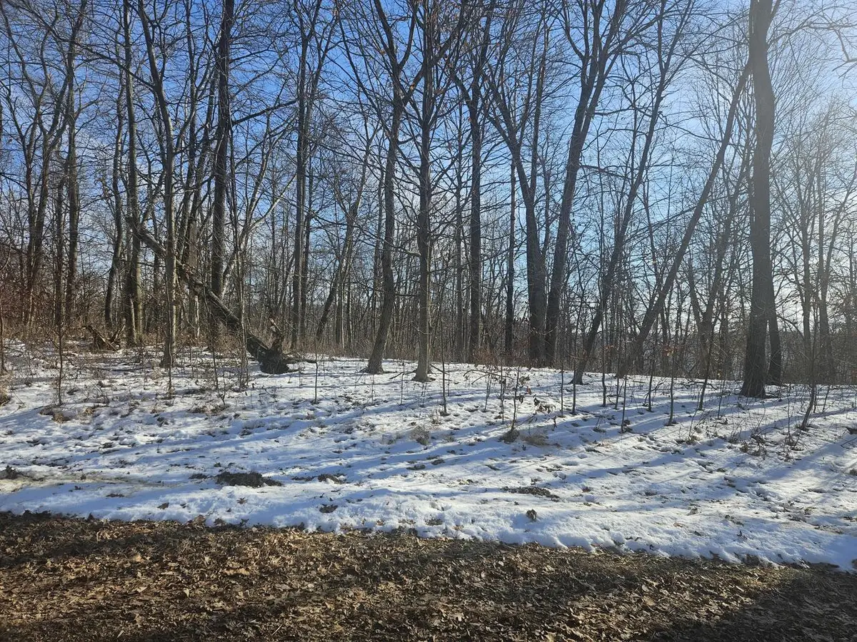 9450 DEEPWOODS LANE #Lot 53, Bagley, WI 53801 - Image #1