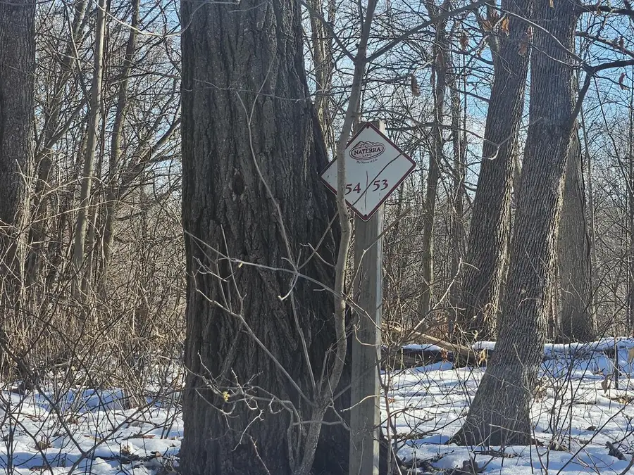 9450 DEEPWOODS LANE #Lot 53, Bagley, WI 53801 - Image #2