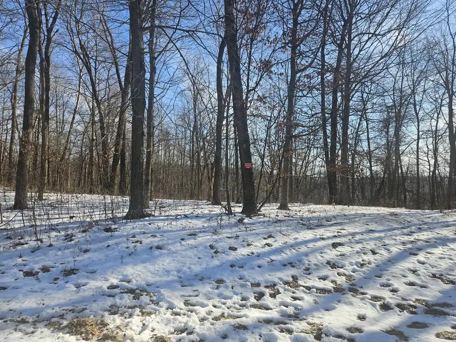 9450 DEEPWOODS LANE #Lot 53, Bagley, WI 53801 - Image #3