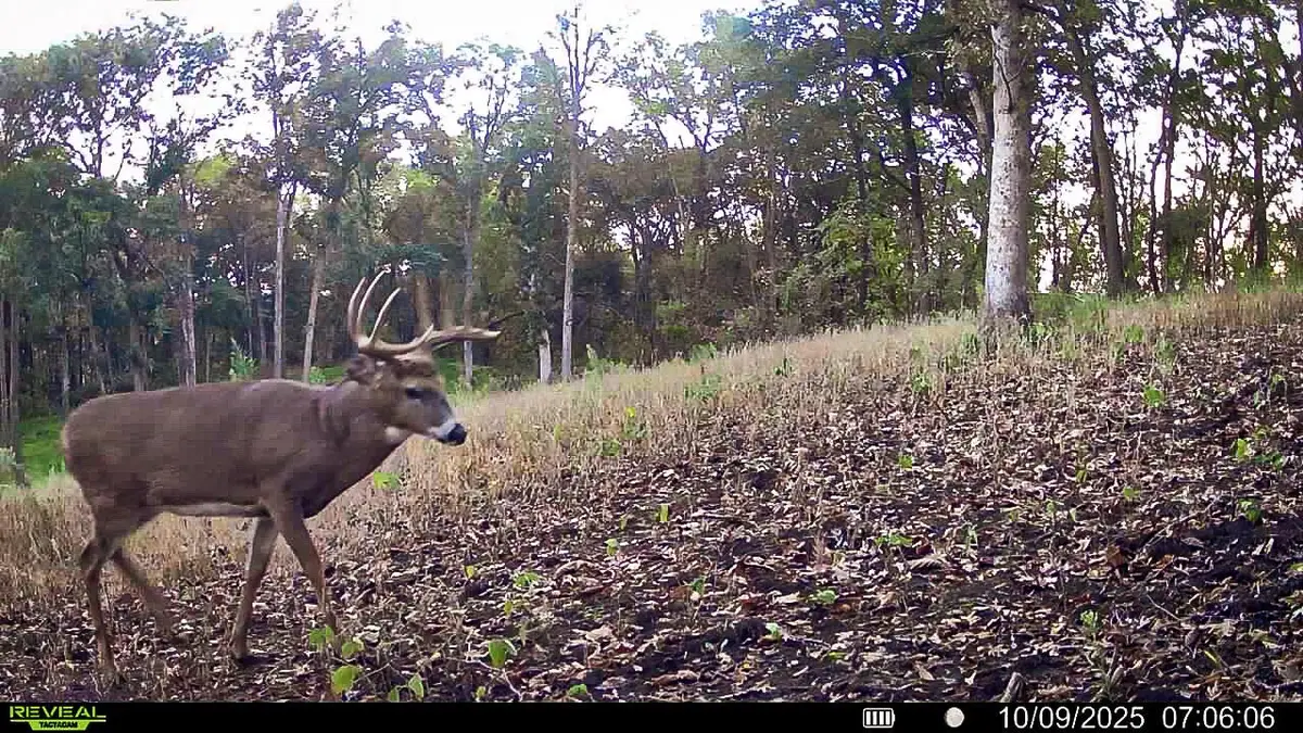 W27022 WHISTLERS PASS ROAD, Dodge, WI 54625 - Image #1