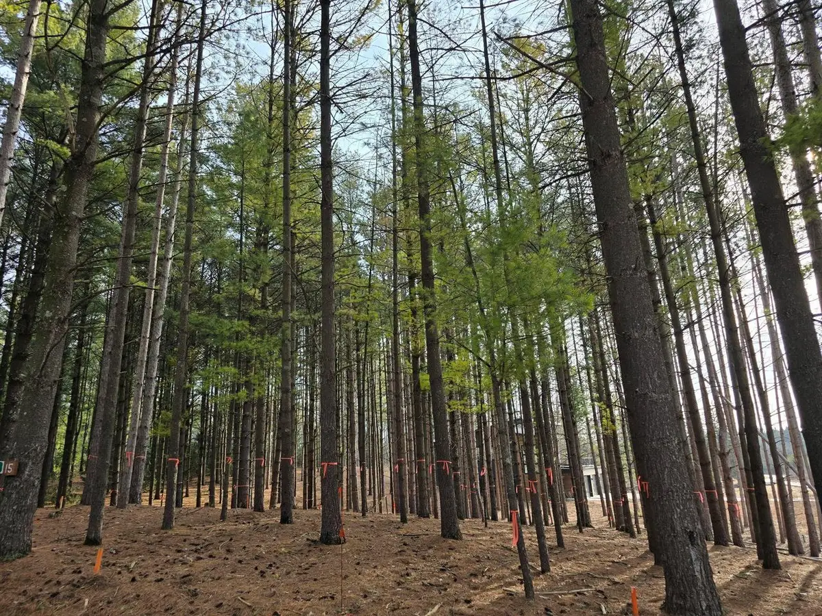 7855 INDIAN LORE ROAD #15, West Bend, WI 53090 - Image #1