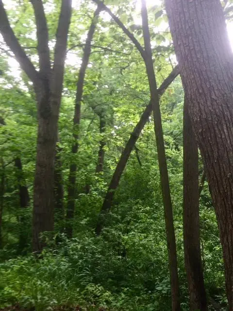 W5754 NINE INDIAN TRAIL, Elkhorn, WI 53121 - #2