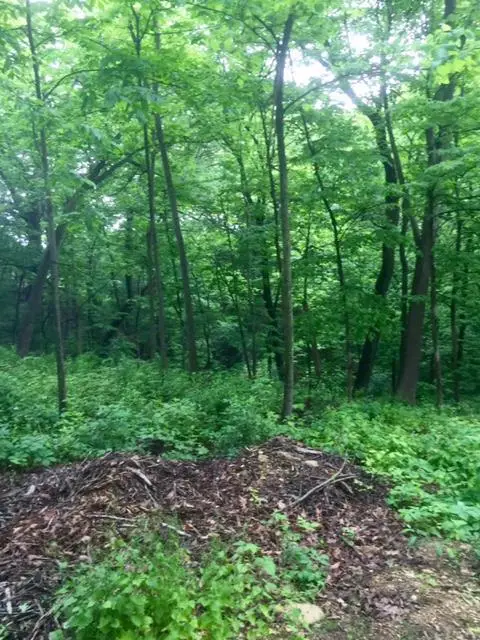 W5754 NINE INDIAN TRAIL, Elkhorn, WI 53121 - #3