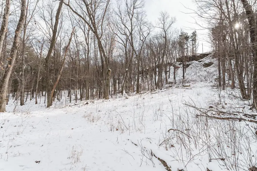 Lt1 ROCKWOOD ROAD, Lyndon Station, WI 53944 - #3