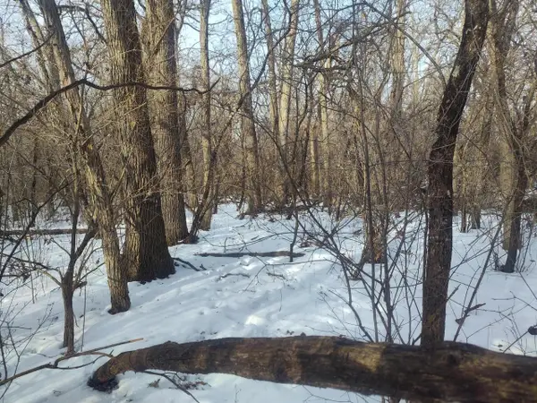 Lt11 109TH STREET, Trevor, WI 53179