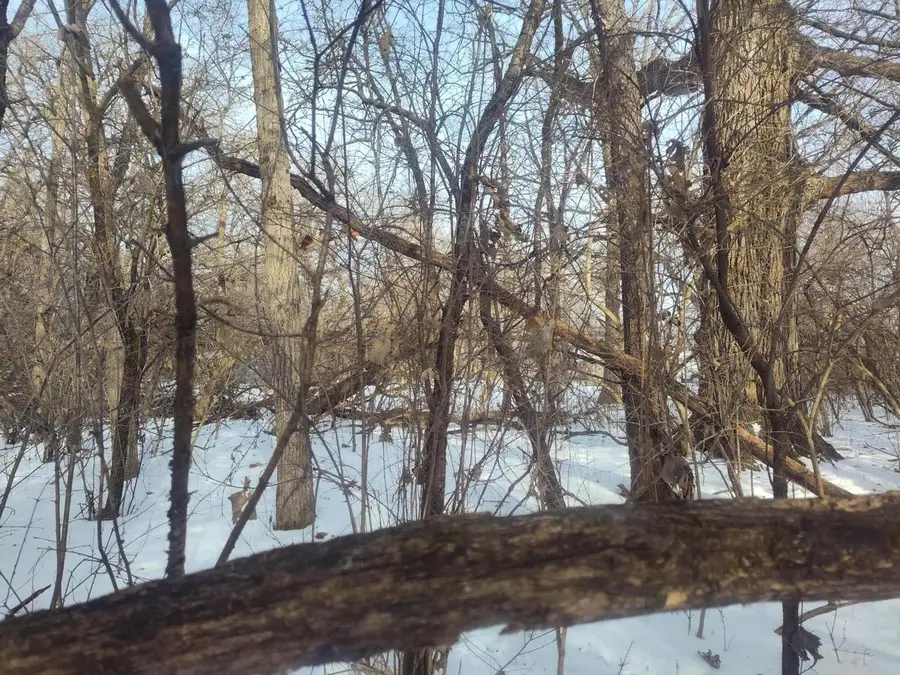 Lt11 109TH STREET, Trevor, WI 53179 - #3