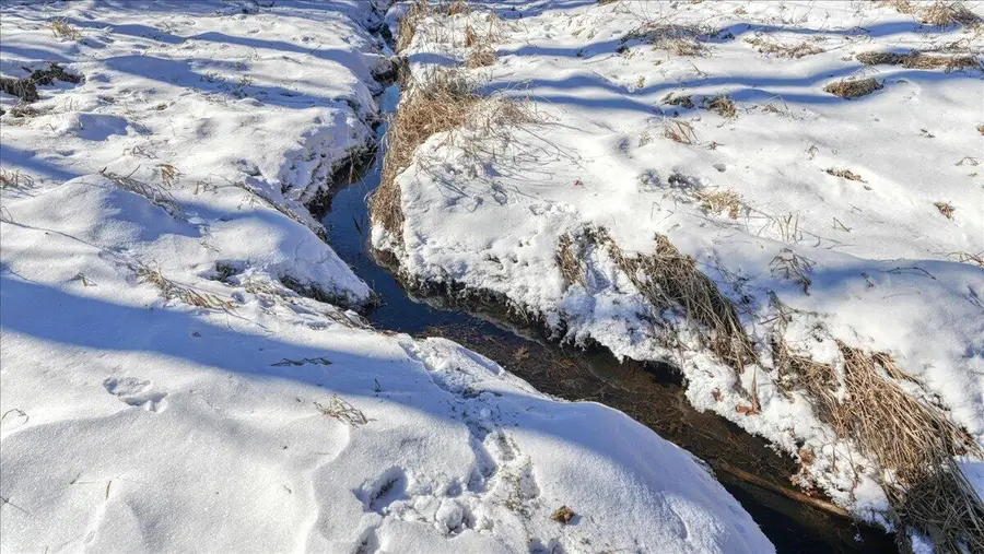 0 GRAPEVINE AVENUE, Tomah, WI 54660 - Image #3