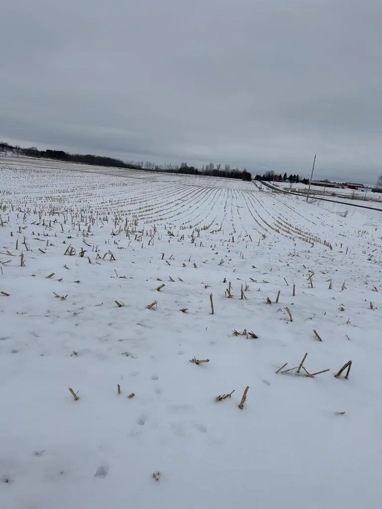 Lt 1 S UNION ROAD, Manitowoc, WI 54220 - #3