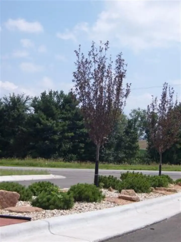 L177 Wagners Vineyard Trail, Sun Prairie, WI 53590 - Image #2