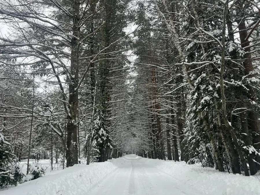 2550 Columbus ROAD, Eagle River, WI 54521 - #2