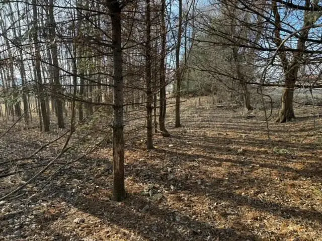 Lt0 HILLSIDE DRIVE, Sullivan, WI 53178 - #3