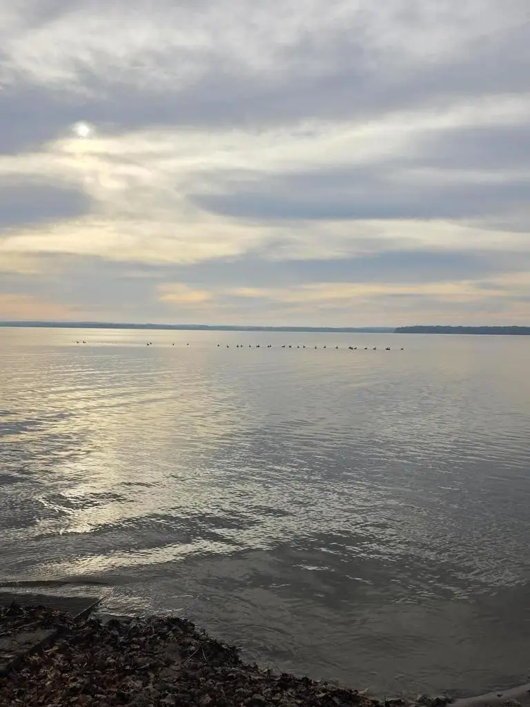 W9592 Lake Drive, Edgerton, WI 53534 - #1