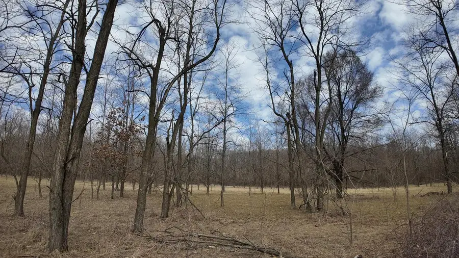 Lt1 FREEDOM ROAD, Oxford, WI 53952 - #2