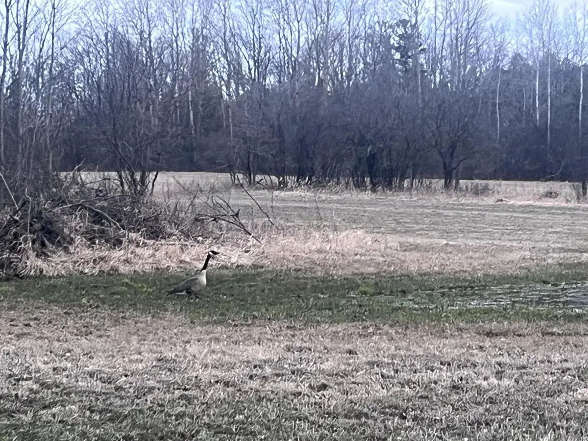 Lt2 VIRGINIA DRIVE, Manitowoc, WI 54220 - #1