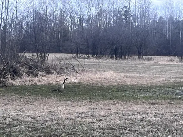 Lt2 VIRGINIA DRIVE, Manitowoc, WI 54220