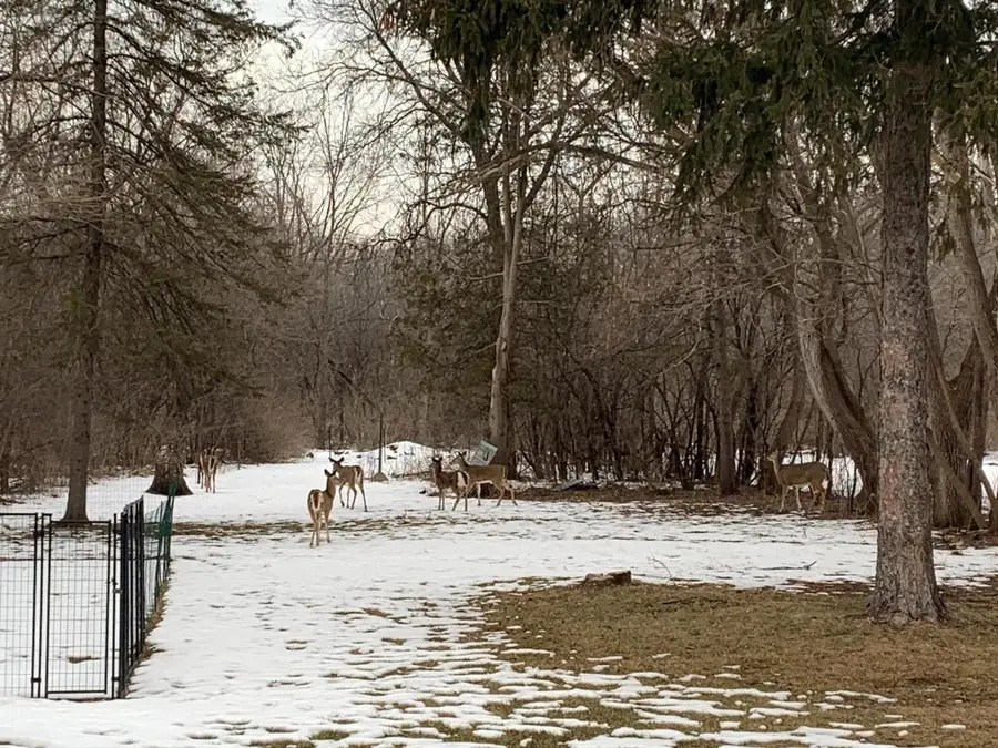 4226 Northwestern AVENUE, Mount Pleasant, WI 53405 - #2