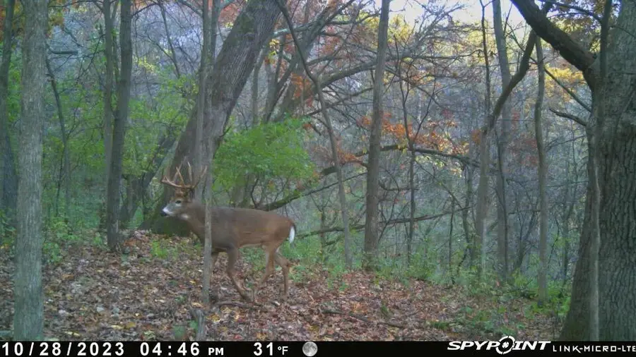 0 THEURER LANE, Arcadia, WI 54612 - #2