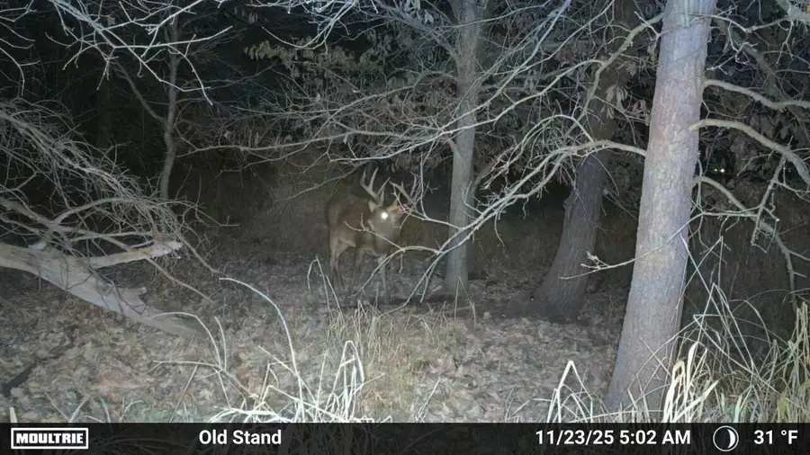 0 HIGHWAY 21, Warrens, WI 54666 - #3