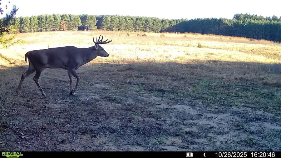 000 CAMBRIDGE ROAD, Sparta, WI 54656 - #2