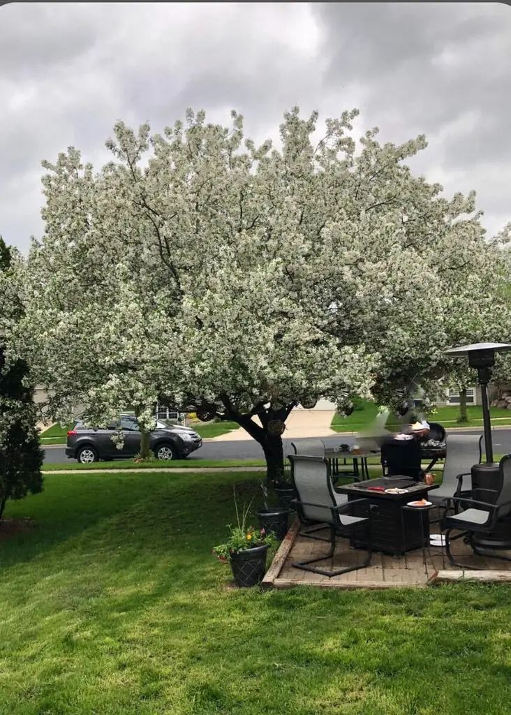 1214 Dayflower DRIVE, Madison, WI 53719 - #2