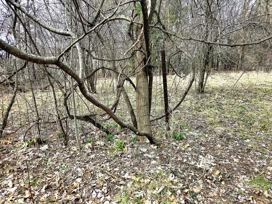 Lts 6-9 ARBUTUS ROAD, Elkhorn, WI 53121 - #2