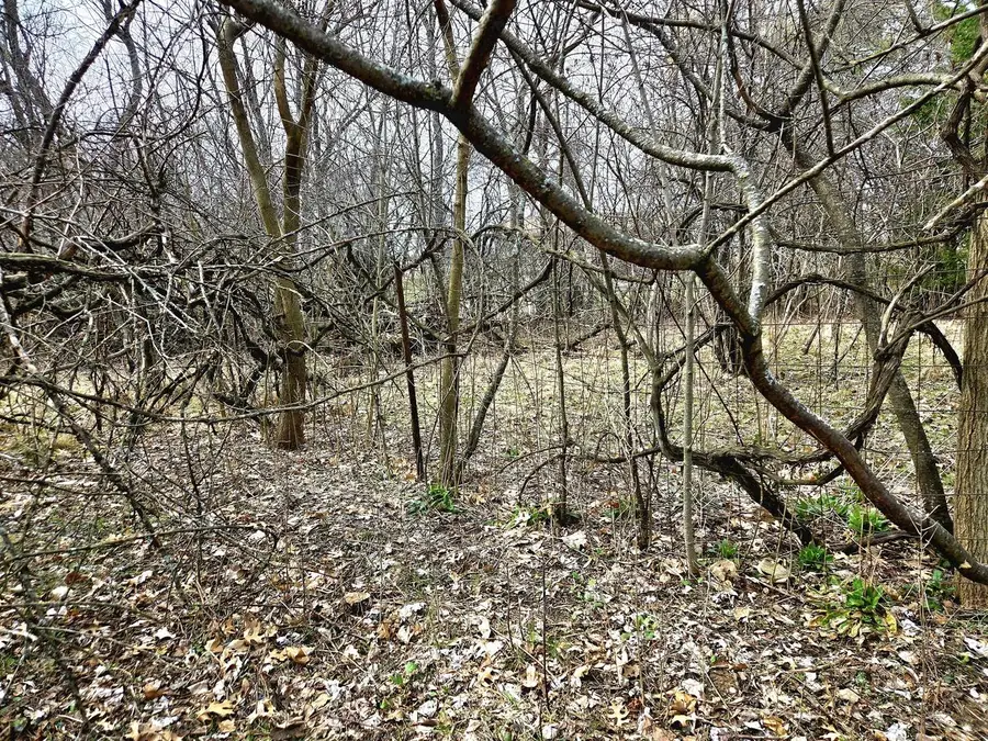 Lts 6-9 ARBUTUS ROAD, Elkhorn, WI 53121 - #3