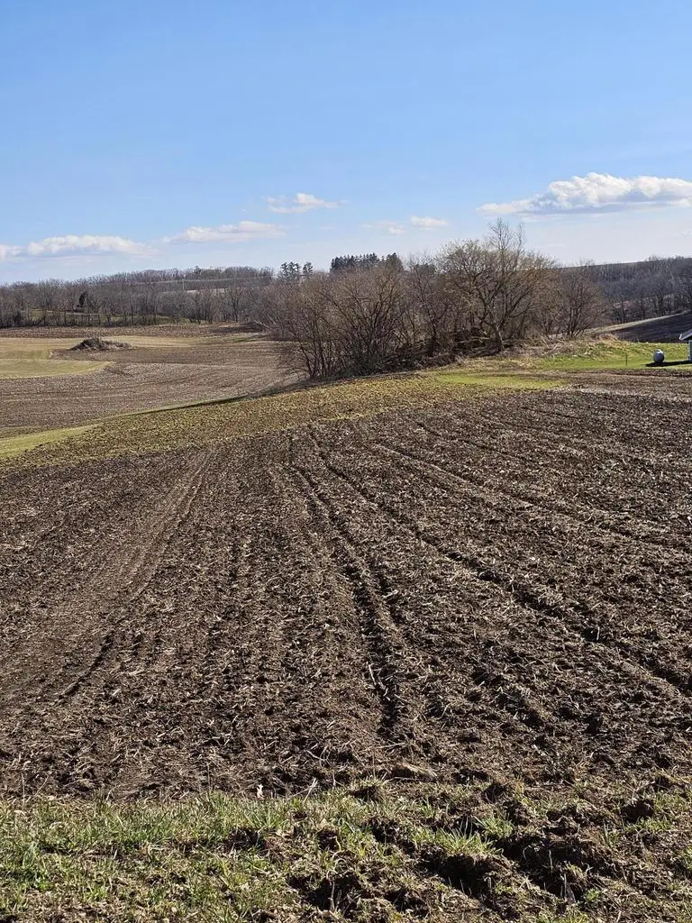 00000 MEADOWVIEW LANE, Viroqua, WI 54665 - #2