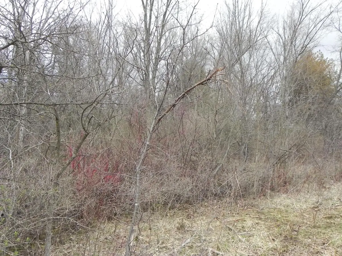 18180 W DALE DRIVE, New Berlin, WI 53146 - #1