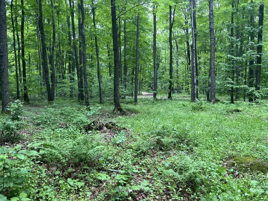 N3653 GRUDGEVILLE ROAD, White Lake, WI 54491 - #2