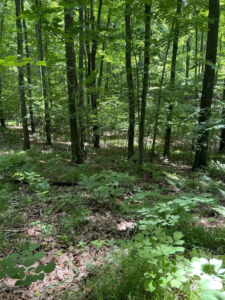 N3653 GRUDGEVILLE ROAD, White Lake, WI 54491 - #3