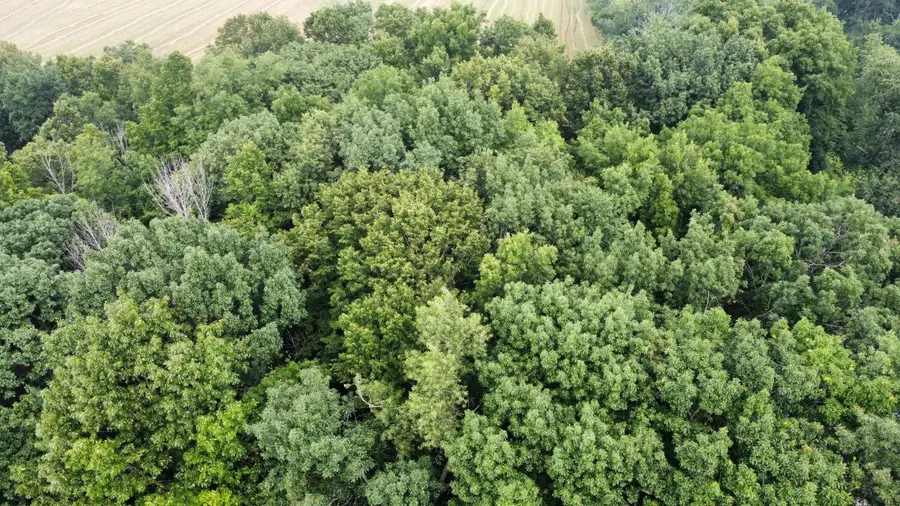 Lt3 ROCK RIVER PARADISE, Watertown, WI 53094 - #3