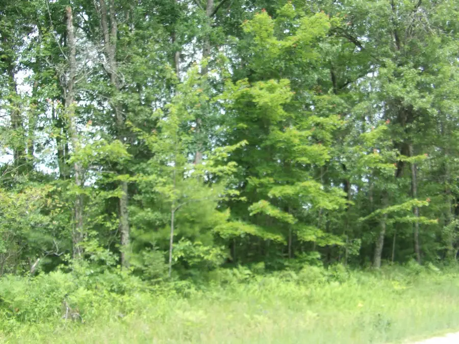 Lt4 PARKWAY ROAD, Crivitz, WI 54114 - #3