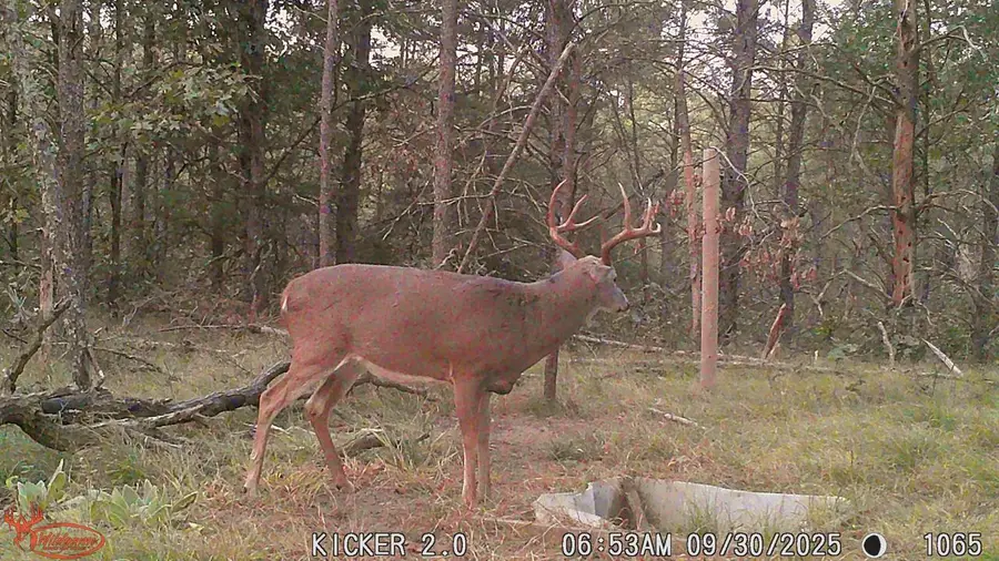 0 LAKE ROAD, Melrose, WI 54642 - #2