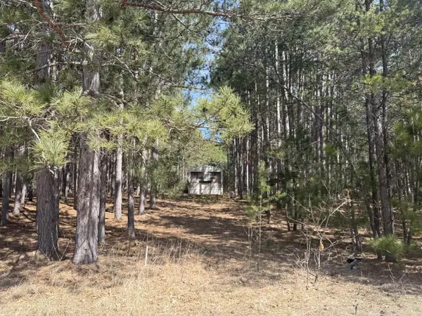 N10038 Pinecone COURT, Necedah, WI 54646