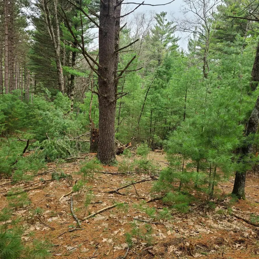 Lt1 FAWN LANE, Hancock, WI 54943 - #3