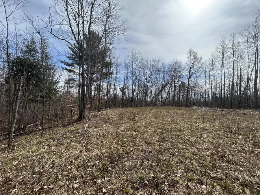16003 CEDAR LAKE LANE, Mountain, WI 54149 - #2