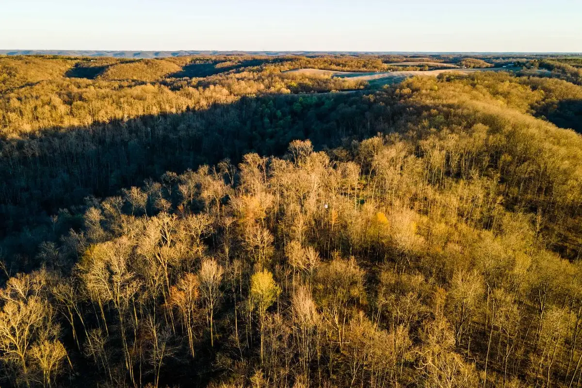 40009 COUNTY RD S, Blue River, WI 53518 - #1