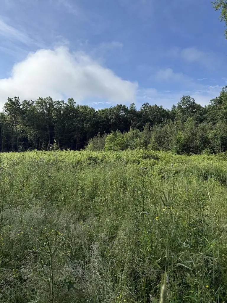 Lt1 HWY Z #21, Redgranite, WI 54970 - #2