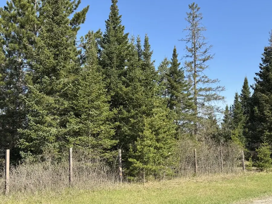 40 ac COUNTY RD X / DEER LAKE ROAD, Crivitz, WI 54114 - #3