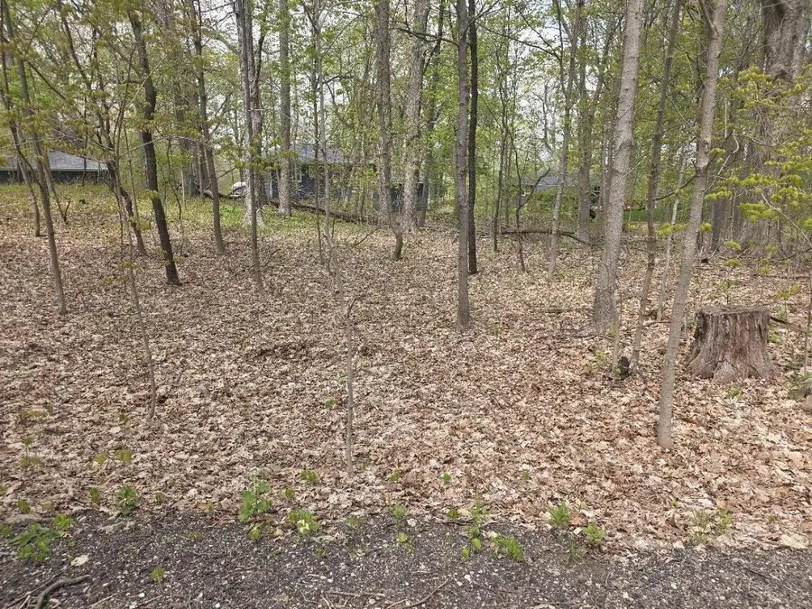 Lt19 & 20 FOREST DRIVE, Lake Geneva, WI 53147 - #2