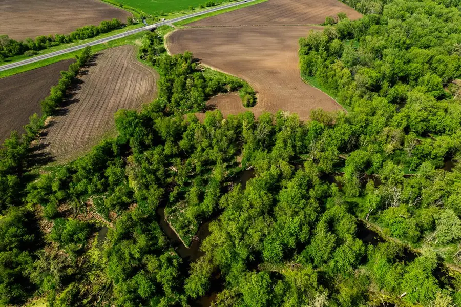 W16875 STATE HIGHWAY 95, Taylor, WI 54659 - #2