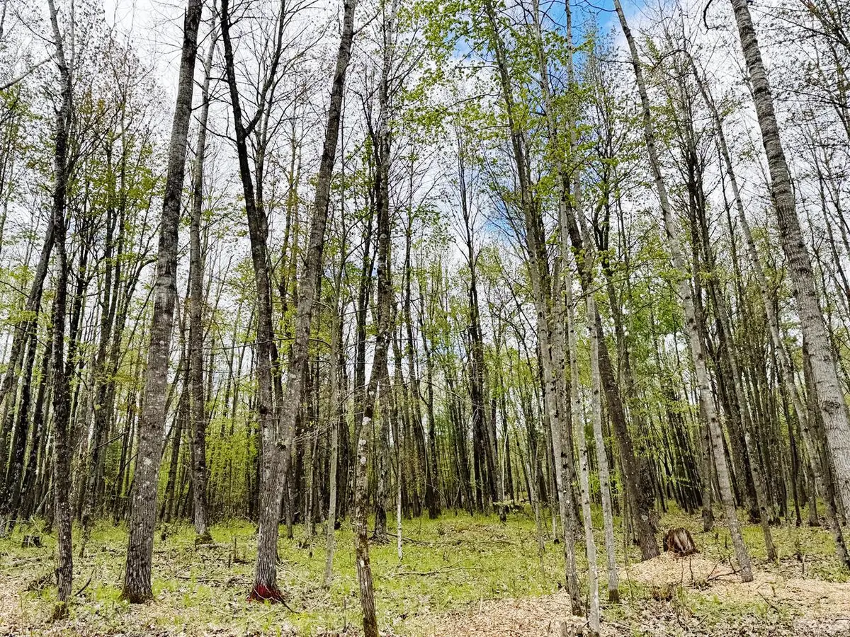 Lt4 CARRIE LANE, Beaver, WI 54114 - #1