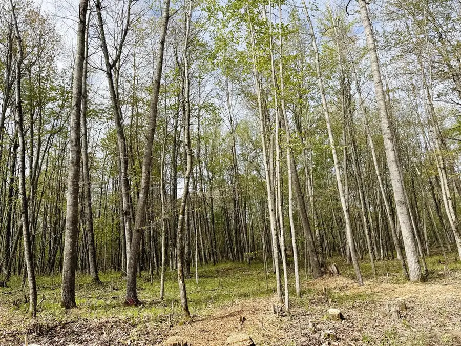 Lt4 CARRIE LANE, Beaver, WI 54114 - #2