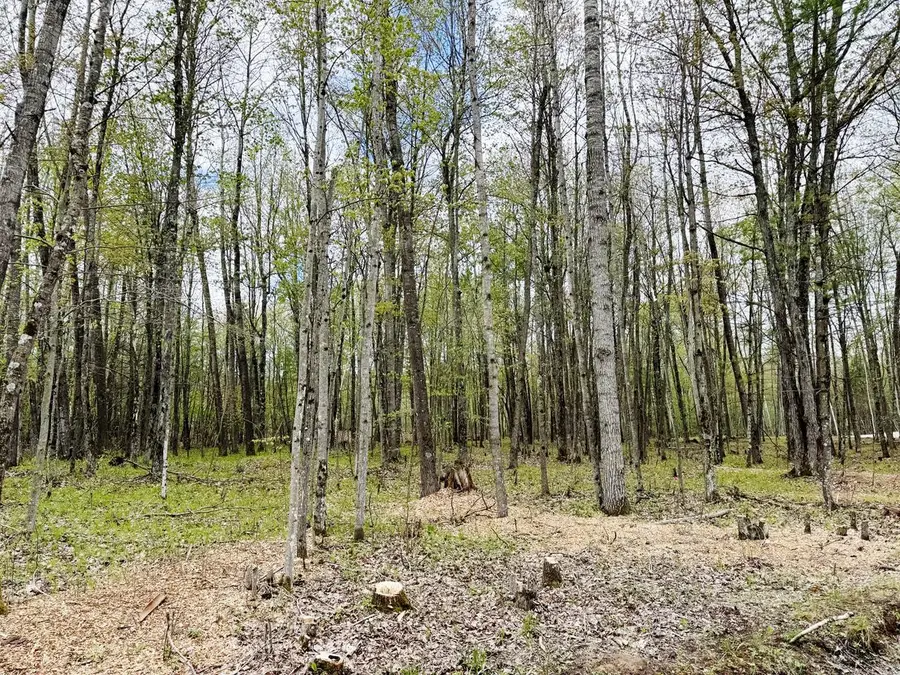 Lt4 CARRIE LANE, Beaver, WI 54114 - #3