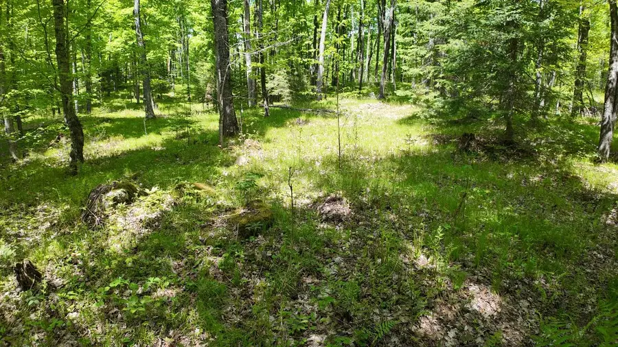 Lt1 FEDERAL FOREST ROAD #3903, Laona, WI 54541 - #2